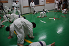 DSC01386[1]_thumb.png